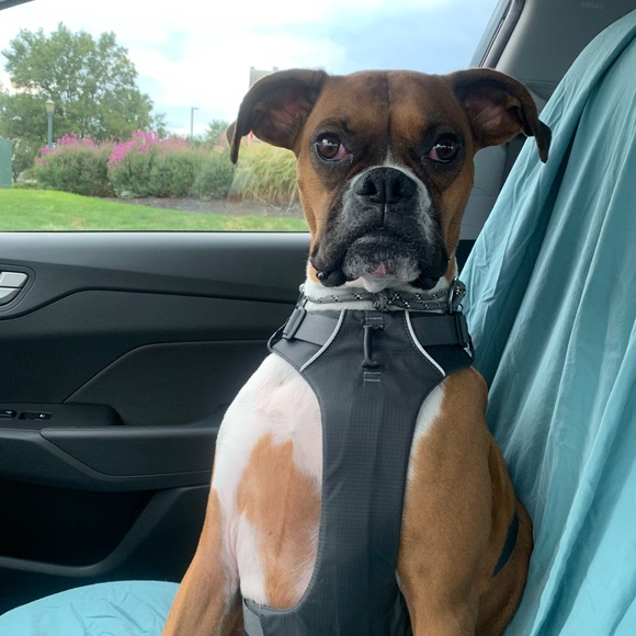 Meet your Posher, Wendy - Picture 1 of 1